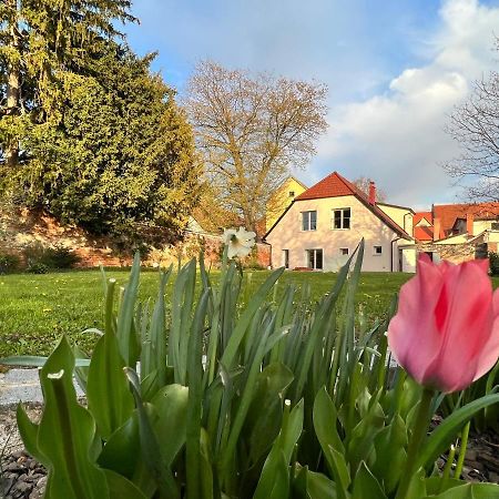 Om Yoga Center Lejlighed Slovenska Bistrica Eksteriør billede