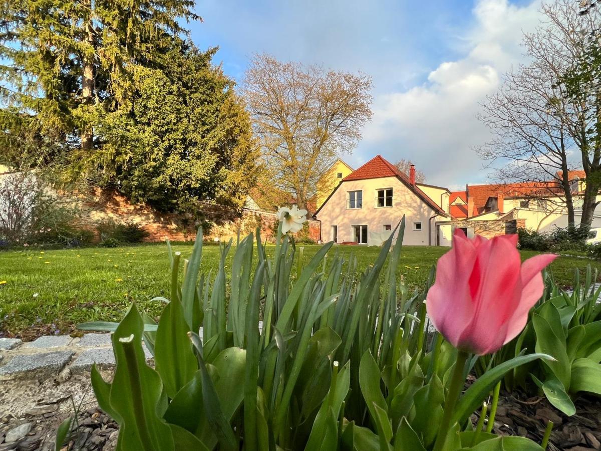Om Yoga Center Lejlighed Slovenska Bistrica Eksteriør billede