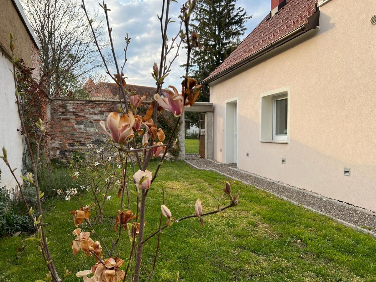 Om Yoga Center Lejlighed Slovenska Bistrica Eksteriør billede